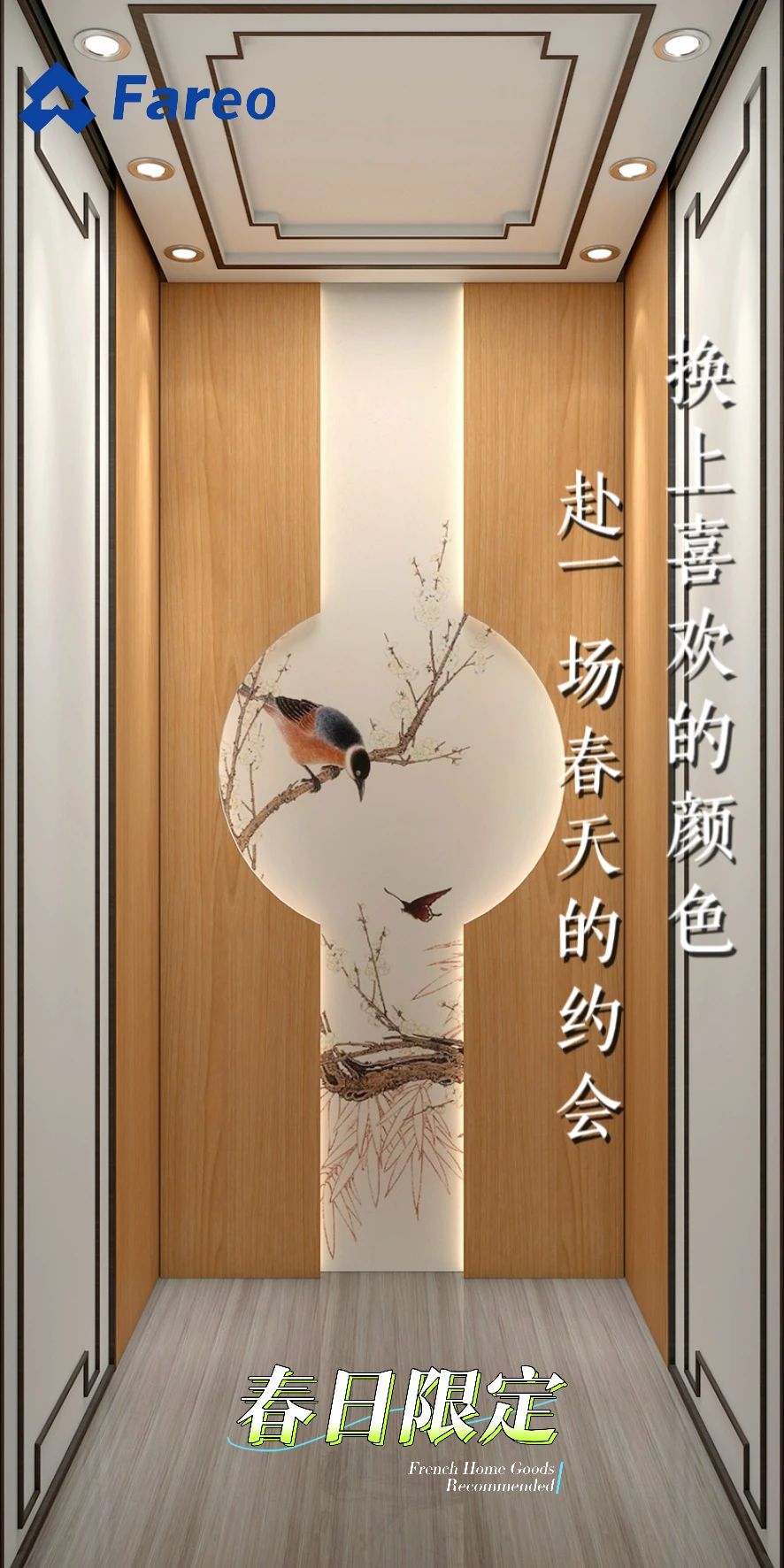 asiagame极简别墅电梯厂家