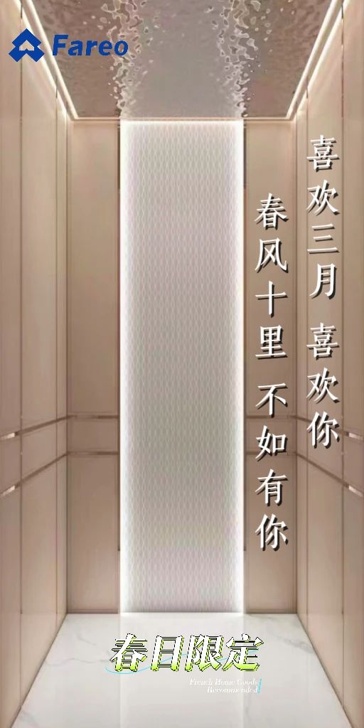 asiagame极简别墅电梯品牌